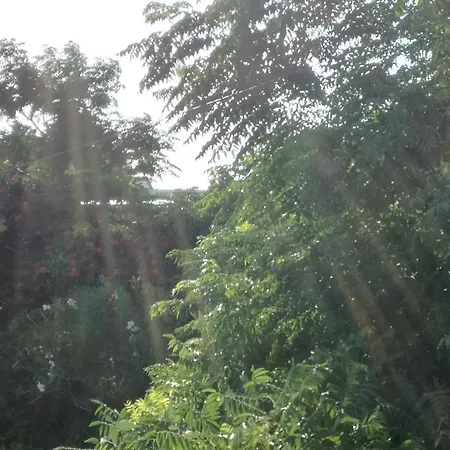 With Parking Spaces Barbat, Rab - 11472 Apartament *